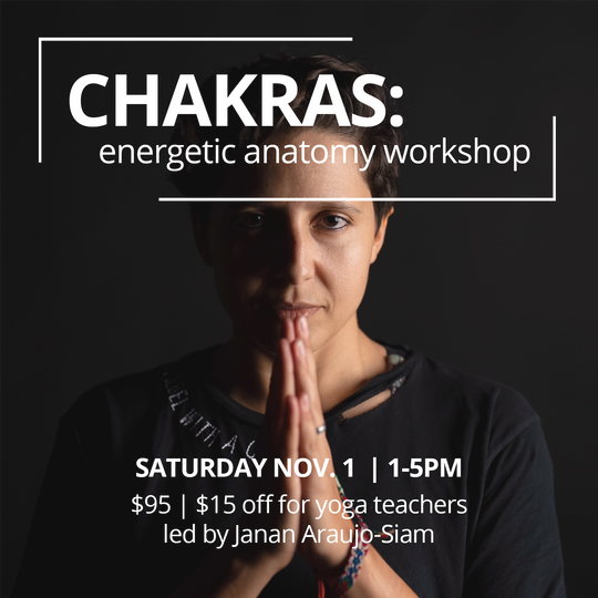 CHAKRAS ENERGETIC ANATOMY SATURDAY NOVEMBER 1 | 1-5PM